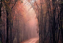 九游：搓滚网球的终极奥义！掌握这几点，让你的网前搓球直接“滚”懵对手！.